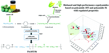 Graphical abstract: Synthesis and properties of biobased copolyamides based on polyamide 10T and polyamide 56 through one-pot polymerization