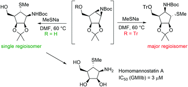 Graphical abstract: Synthesis of hydroxymethyl analogues of mannostatin A and their evaluation as inhibitors of GH38 α-mannosidases