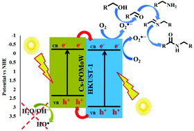 Graphical abstract: Fluorinated solvent-assisted photocatalytic aerobic oxidative amidation of alcohols via visible-light-mediated HKUST-1/Cs-POMoW catalysis