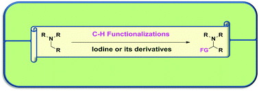 Graphical abstract: α-C–H functionalization of tertiary amines catalyzed/promoted by molecular iodine/derivatives