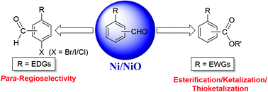 Graphical abstract: Ni–NiO heterojunctions: a versatile nanocatalyst for regioselective halogenation and oxidative esterification of aromatics