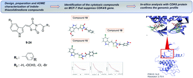 Graphical abstract: Design, synthesis, molecular docking and ADME studies of novel indole-thiazolidinedione derivatives and their antineoplastic activity as CDK6 inhibitors
