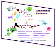 Graphical abstract: The antimicrobial potential and pharmacokinetic profiles of novel quinoline-based scaffolds: synthesis and in silico mechanistic studies as dual DNA gyrase and DHFR inhibitors