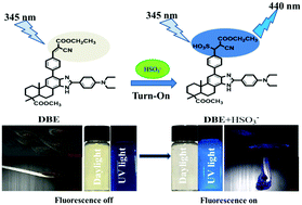 Graphical abstract: A novel dehydroabietic acid-based turn-on fluorescent probe for the detection of bisulfite and its application in live-cell and zebrafish imaging