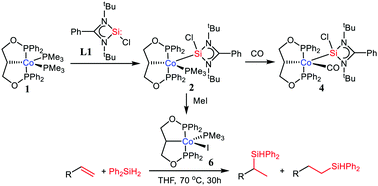 Graphical abstract: Synthesis and properties of [PCP] pincer silylene cobalt(i) complexes