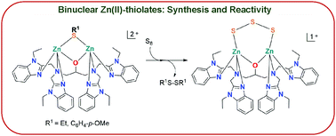 Graphical abstract: Synthesis and redox reactions of binuclear zinc(ii)–thiolate complexes with elemental sulfur