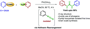 Graphical abstract: Synthesis of unsymmetrical urea from aryl- or pyridyl carboxamides and aminopyridines using PhI(OAc)2via in situ formation of aryl- or pyridyl isocyanates