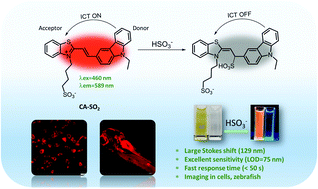 Graphical abstract: A novel fluorescent probe for the detection of sulfur dioxide derivatives and its application in biological imaging