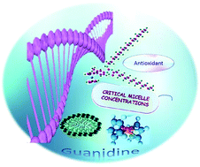 Graphical abstract: New ferrocene-integrated multifunctional guanidine surfactants: synthesis, spectroscopic elucidation, DNA interaction studies, and DFT calculations