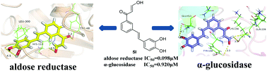 Graphical abstract: β-Aldehyde ketones as dual inhibitors of aldose reductase and α-glucosidase with antioxidant properties