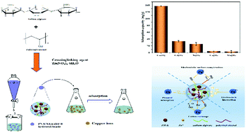 Graphical abstract: Fabrication of an efficient ZIF-8 alginate composite hydrogel material and its application to enhanced copper(ii) adsorption from aqueous solutions