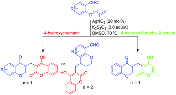 Graphical abstract: Direct synthesis of 4-hydroxycoumarins and 4-hydroxy-6-methyl-2-pyrone containing chroman-4-ones via a silver catalyzed radical cascade cyclization reaction