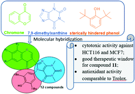 Graphical abstract: Synthesis, cytotoxicity and antioxidant activity of new 1,3-dimethyl-8-(chromon-3-yl)-xanthine derivatives containing 2,6-di-tert-butylphenol fragments