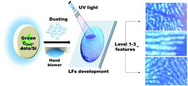Graphical abstract: Fluorescence spotting of latent sweat fingerprints with zinc oxide carbon dots embedded in a silica gel nanopowder: a green approach