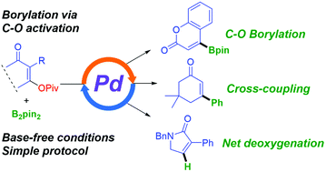 Graphical abstract: An evaluation of palladium-based catalysts for the base-free borylation of alkenyl carboxylates