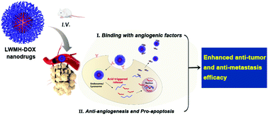 Graphical abstract: Development of carrier-free nanodrugs based on low molecular weight heparin–doxorubicin conjugate assembly with smart pH-triggered drug release characteristics for combinatorial antitumor therapy