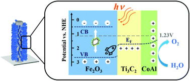 Graphical abstract: Ultrathin Ti3C2 nanosheets served as a highly efficient hole transport layer on a Fe2O3 photoanode for photoelectrochemical water oxidation