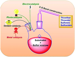 Graphical abstract: The journey of C–S bond formation from metal catalysis to electrocatalysis