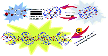 Graphical abstract: Selective recognition of aluminum ions using an esculetin@Q[8] host–guest supramolecular fluorescent probe