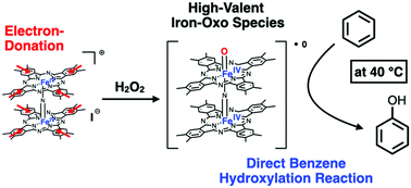 Graphical abstract: Direct catalytic benzene hydroxylation under mild reaction conditions by using a monocationic μ-nitrido-bridged iron phthalocyanine dimer with 16 peripheral methyl groups