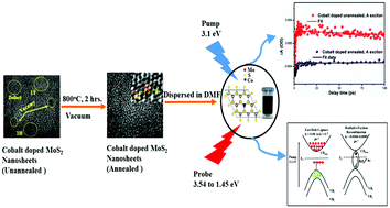 Graphical abstract: One order enhancement of charge carrier relaxation rate by tuning structural and optical properties in annealed cobalt doped MoS2 nanosheets