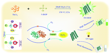 Graphical abstract: Stereospecific recognition and rapid determination of d-amino acids in human serum based on luminescent metal–organic frameworks