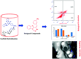 Graphical abstract: The design and synthesis of potent benzimidazole derivatives via scaffold hybridization and evaluating their antiproliferative and proapoptotic activity against breast and lung cancer cell lines