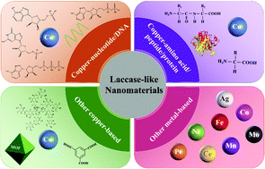 Graphical abstract: Current research progress on laccase-like nanomaterials