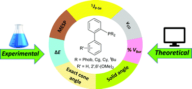 Graphical abstract: Exploring steric and electronic parameters of biaryl phosphacycles