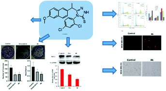 Graphical abstract: Design, synthesis, and in vitro and in vivo anticancer activity studies of new (S)-Naproxen thiosemicarbazide/1,2,4-triazole derivatives