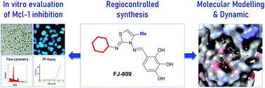 Graphical abstract: Synthesis and biological evaluation of FJ-809, a compound originally described as MIM1 and an inhibitor of the anti-apoptotic protein Mcl-1