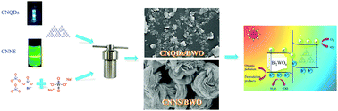 Graphical abstract: Fabrication of g-C3N4/Bi2WO6 as a direct Z-scheme excellent photocatalyst