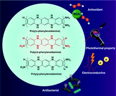 Graphical abstract: Electroconductive and photoactive poly(phenylenediamine)s with antioxidant and antimicrobial activities for potential photothermal therapy