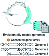 Graphical abstract: The confluence of big data and evolutionary genome mining for the discovery of natural products