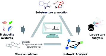 Graphical abstract: Advances in decomposing complex metabolite mixtures using substructure- and network-based computational metabolomics approaches