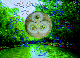 Graphical abstract: Secondary metabolites from mangrove-associated fungi: source, chemistry and bioactivities