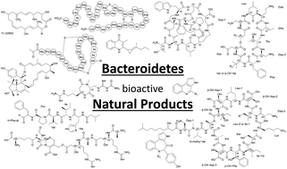 Graphical abstract: Bioactive natural products from Bacteroidetes