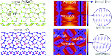 Graphical abstract: Two-dimensional Weyl points and nodal lines in pentagonal materials and their optical response