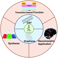 Graphical abstract: Synaptic transistors and neuromorphic systems based on carbon nano-materials