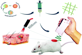 Graphical abstract: Eluting mode of photodynamic nanofibers without photosensitizer leakage for one-stop treatment of outdoor hemostasis and sterilizing superbacteria