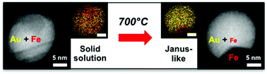 Graphical abstract: Room temperature synthesized solid solution AuFe nanoparticles and their transformation into Au/Fe Janus nanocrystals