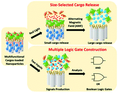 Graphical abstract: Expanding nanoparticle multifunctionality: size-selected cargo release and multiple logic operations