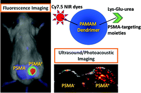 Graphical abstract: Dual contrast agents for fluorescence and photoacoustic imaging: evaluation in a murine model of prostate cancer