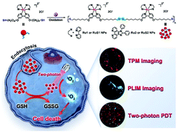 Graphical abstract: Nano-assembly of ruthenium(ii) photosensitizers for endogenous glutathione depletion and enhanced two-photon photodynamic therapy