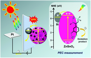Graphical abstract: Construction of 3D Bi/ZnSnO3 hollow microspheres for label-free highly selective photoelectrochemical recognition of norepinephrine