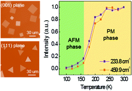Graphical abstract: Controlled synthesis and Raman study of a 2D antiferromagnetic P-type semiconductor: α-MnSe
