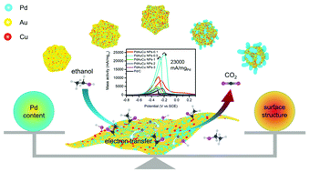 Graphical abstract: Highly efficient blackberry-like trimetallic PdAuCu nanoparticles with optimized Pd content for ethanol electrooxidation