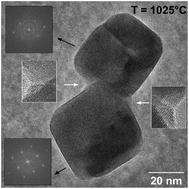 Graphical abstract: A multiscale in situ high temperature high resolution transmission electron microscopy study of ThO2 sintering