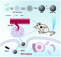 Graphical abstract: A mesoporous polydopamine nanoparticle enables highly efficient manganese encapsulation for enhanced MRI-guided photothermal therapy