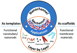 Graphical abstract: Layer-by-layer assembly in nanochannels: assembly mechanism and applications
